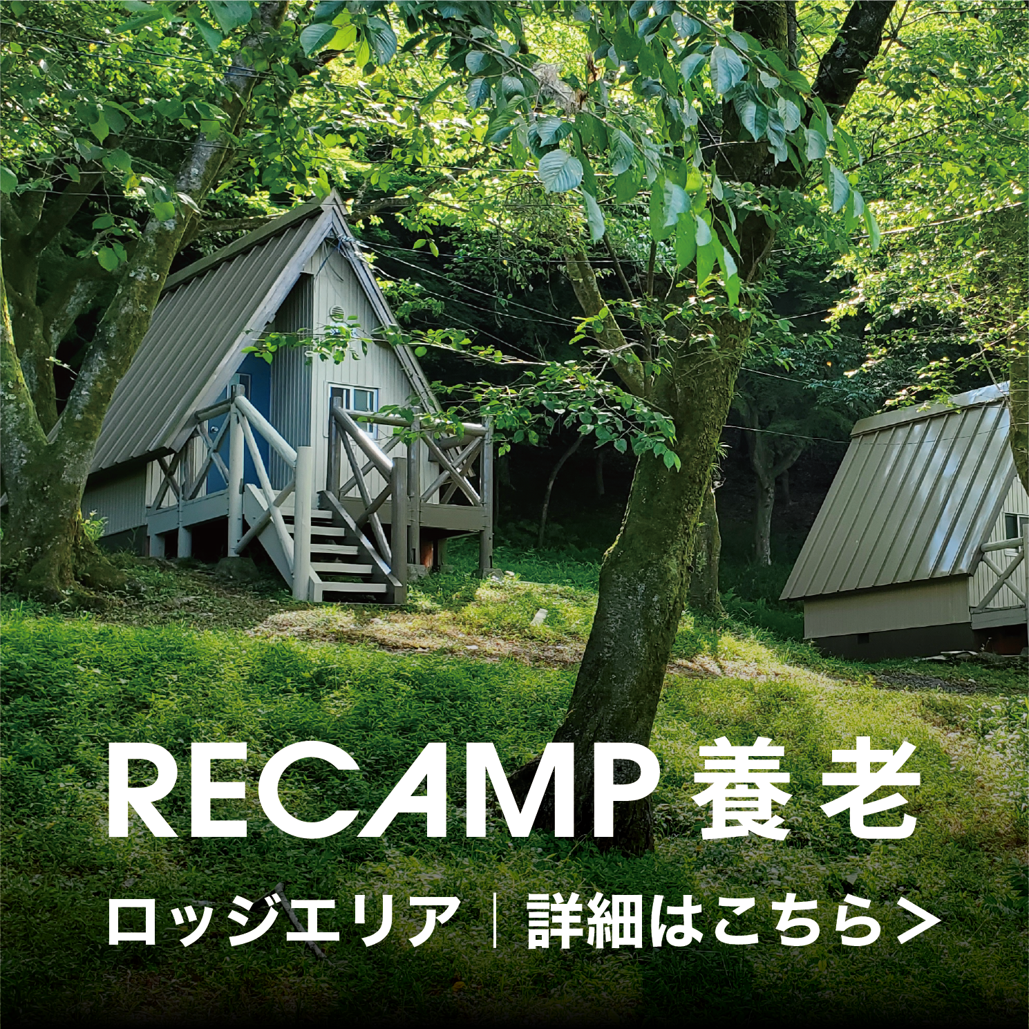 RECAMP養老 ロッジエリア