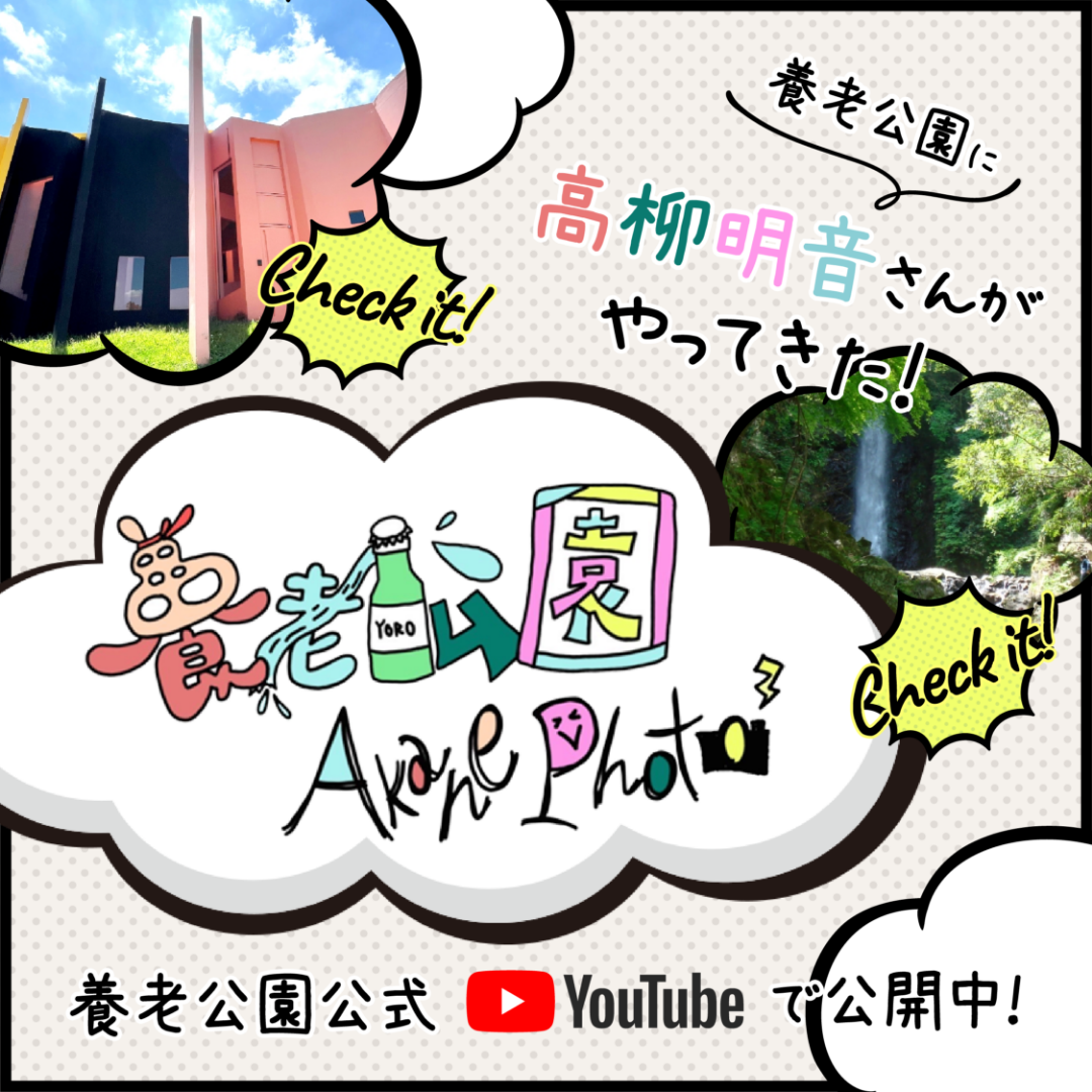 養老公園に高柳明音さんがやってきた！養老公園 AkanePhoto