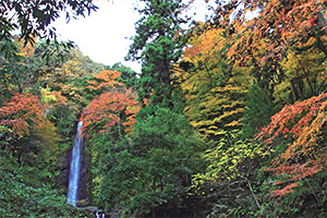 Yoro Waterfall and its Surrounding Areas