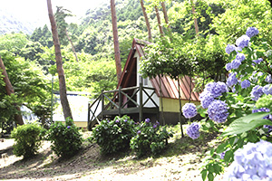 Yoro Camp Center