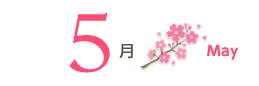 5月