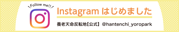 Instagramはじめました